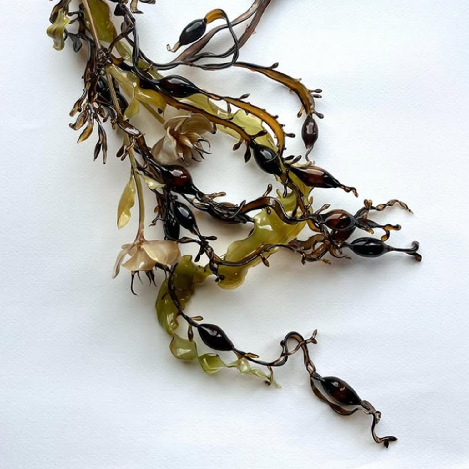 Sit down with glass artist Andrea Spencer