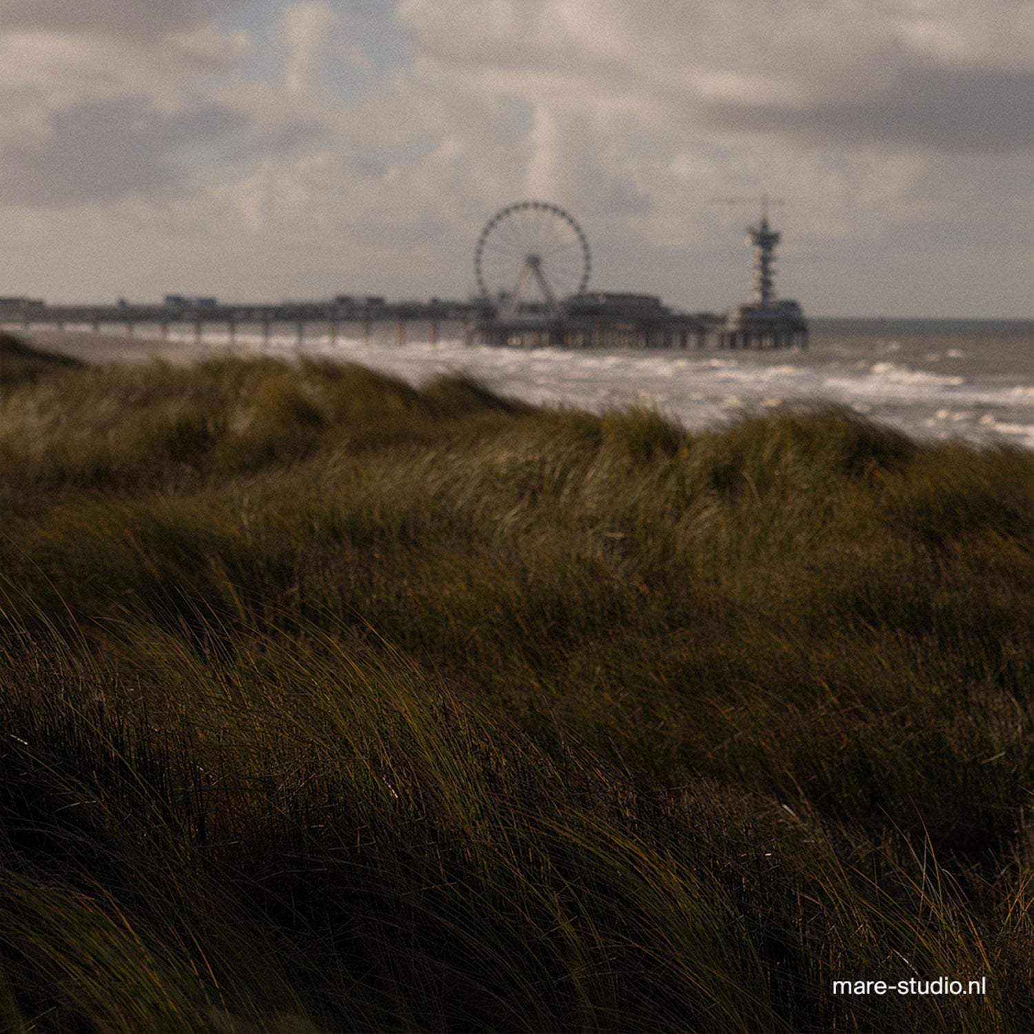 Unwind with us: Voorlinden hike