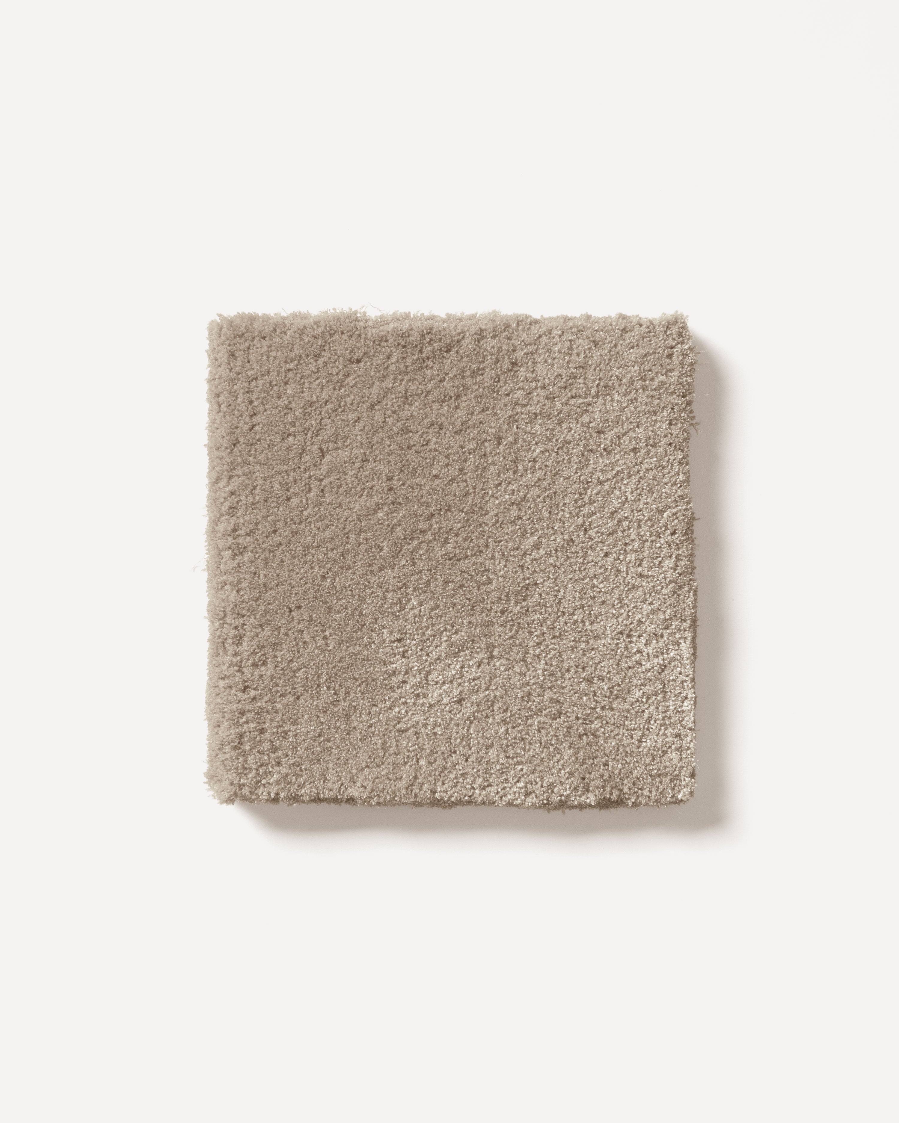 Bamboo 2231