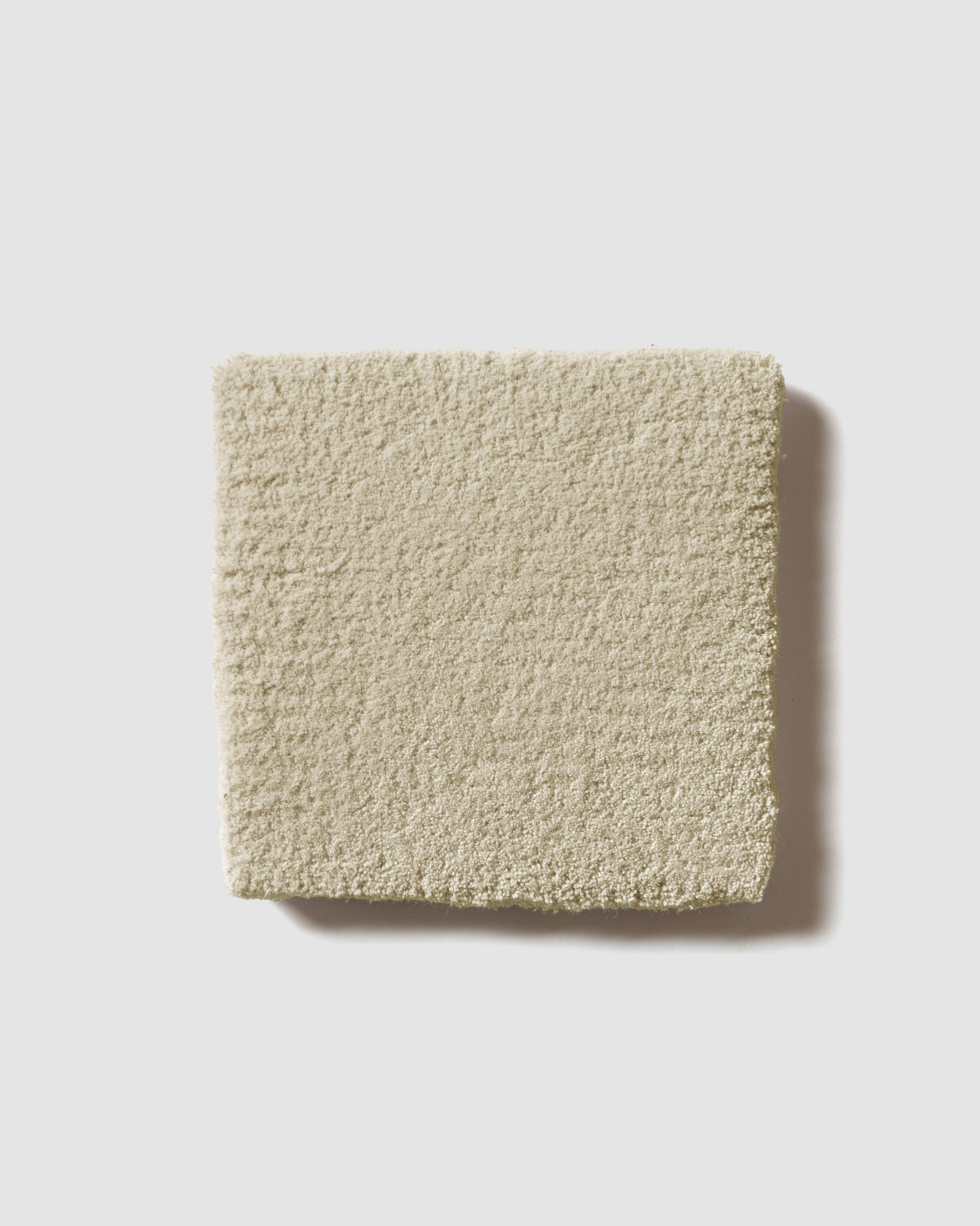 Cotton 101